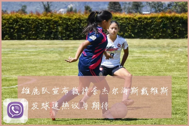 雄鹿队宣布裁掉奈杰尔海斯戴维斯引发球迷热议与期待